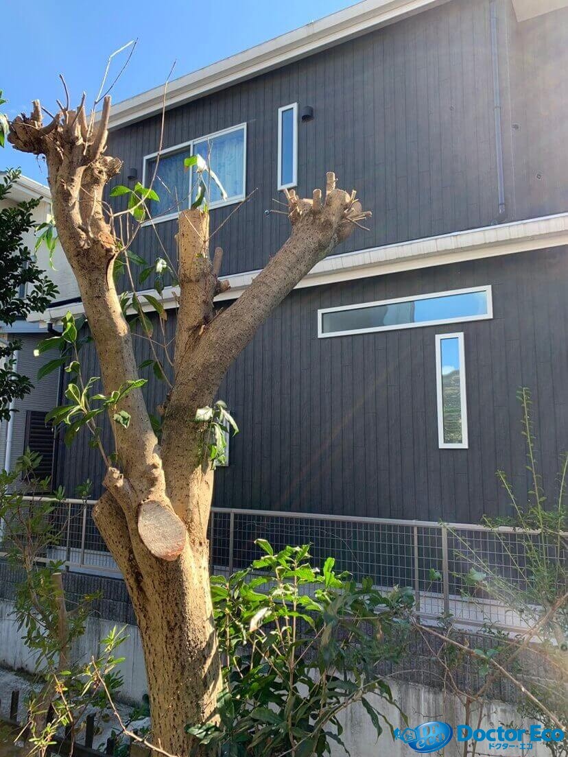 外構工事施工例29